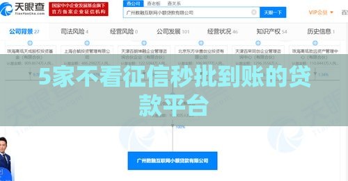 5家不看征信秒批到账的贷款平台