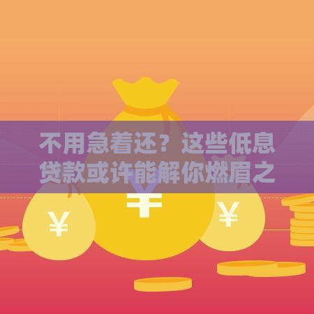 不用急着还？这些低息贷款或许能解你燃眉之急