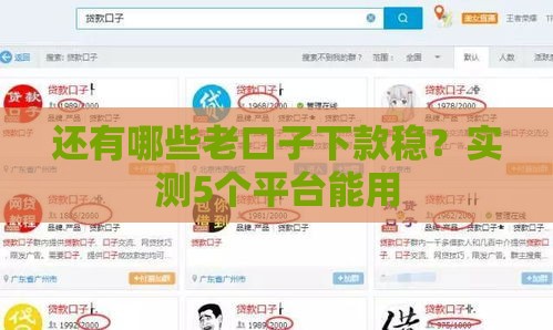 还有哪些老口子下款稳？实测5个平台能用