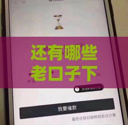 还有哪些老口子下款稳？实测5个平台能用