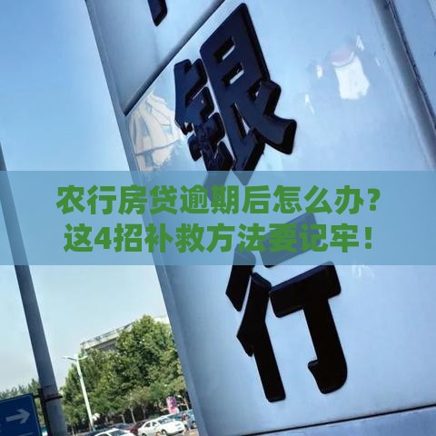 农行房贷逾期后怎么办？这4招补救方法要记牢！