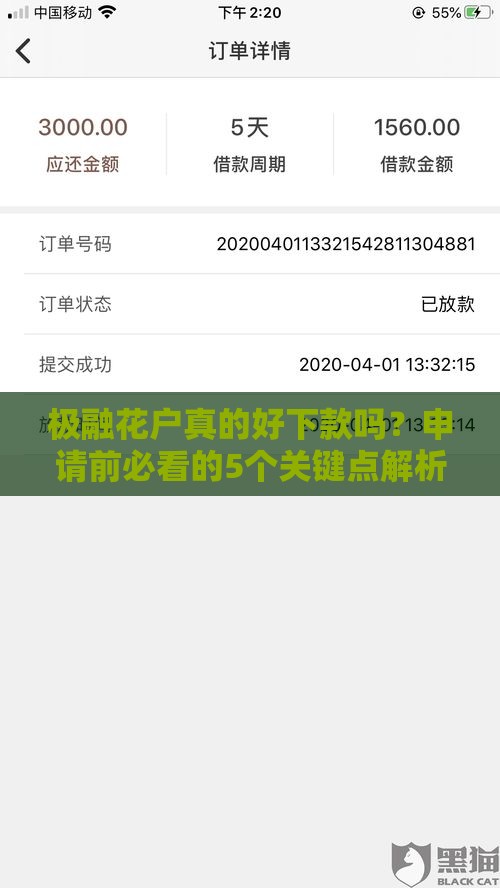 极融花户真的好下款吗？申请前必看的5个关键点解析