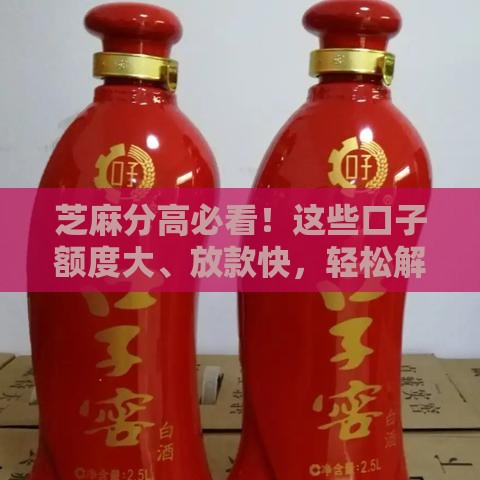 芝麻分高必看！这些口子额度大、放款快，轻松解决资金难题