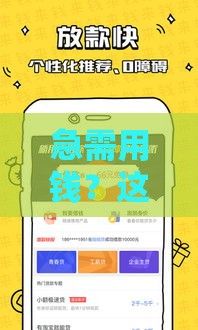 急需用钱？这几个晚上也能下款的口子别错过！