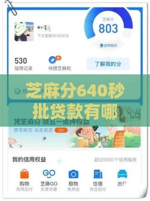 芝麻分640秒批贷款有哪些？这6个平台审核快、通过率高！