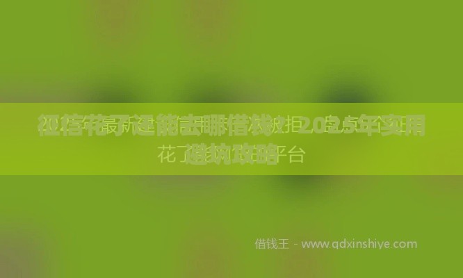 征信花了还能去哪借钱？2025年实用避坑攻略
