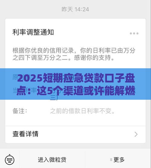 2025短期应急贷款口子盘点：这5个渠道或许能解燃眉之急