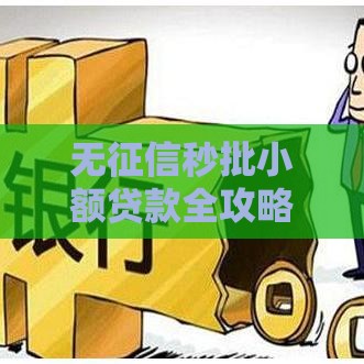 无征信秒批小额贷款全攻略