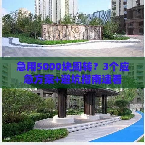 急用5000块周转？3个应急方案+避坑指南速看