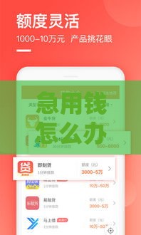 急用钱怎么办？我在随心花借款上借了2000块的亲身经历分享