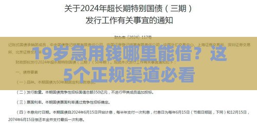 19岁急用钱哪里能借？这5个正规渠道必看