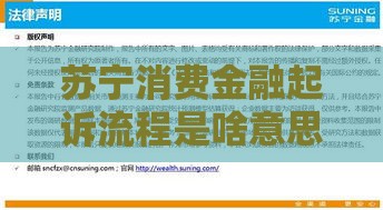 苏宁消费金融起诉流程是啥意思？逾期真会被告吗？