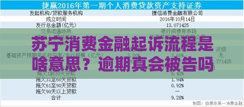 苏宁消费金融起诉流程是啥意思？逾期真会被告吗？