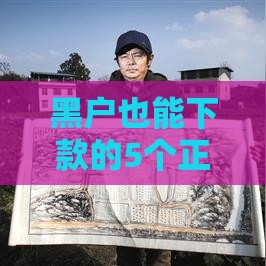 黑户也能下款的5个正规平台分享