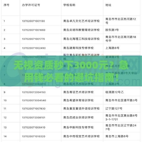 无视资质秒下3000元？急用钱必看的避坑指南！