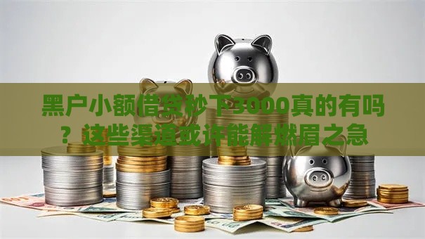 黑户小额借贷秒下3000真的有吗？这些渠道或许能解燃眉之急