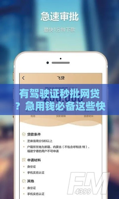 有驾驶证秒批网贷？急用钱必备这些快速到账技巧！