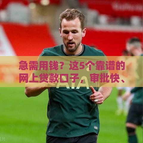 急需用钱？这5个靠谱的网上贷款口子，审批快、利息低！