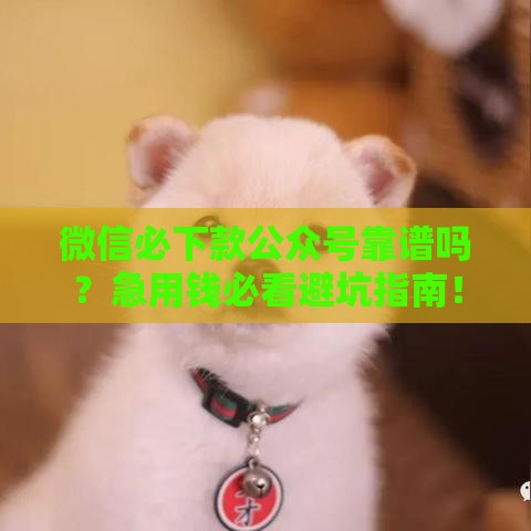 微信必下款公众号靠谱吗？急用钱必看避坑指南！