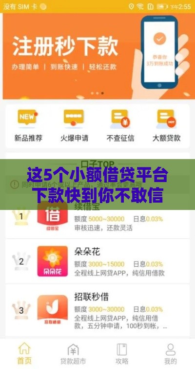 这5个小额借贷平台下款快到你不敢信