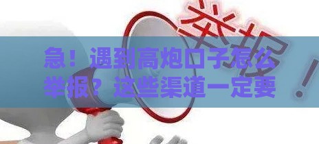 急！遇到高炮口子怎么举报？这些渠道一定要记牢