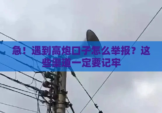 急！遇到高炮口子怎么举报？这些渠道一定要记牢