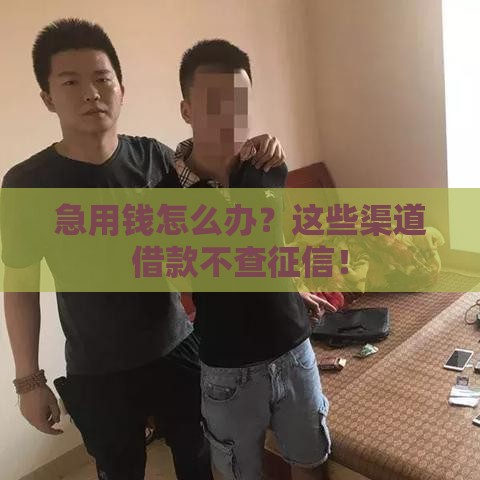 急用钱怎么办？这些渠道借款不查征信！