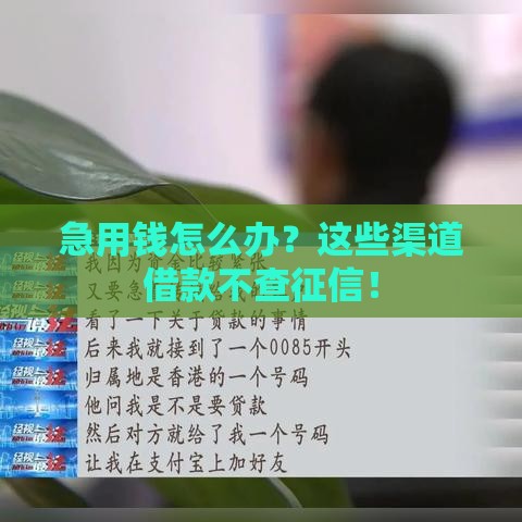 急用钱怎么办？这些渠道借款不查征信！