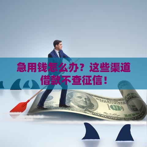 急用钱怎么办？这些渠道借款不查征信！