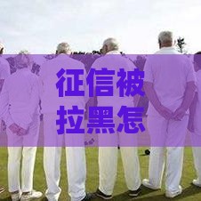 征信被拉黑怎么办？贷款买房买车全受阻！