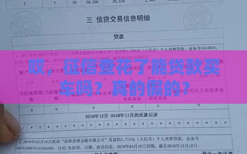 哎，征信查花了能贷款买车吗？真的假的？