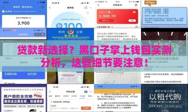 贷款新选择？黑口子掌上钱包实测分析，这些细节要注意！