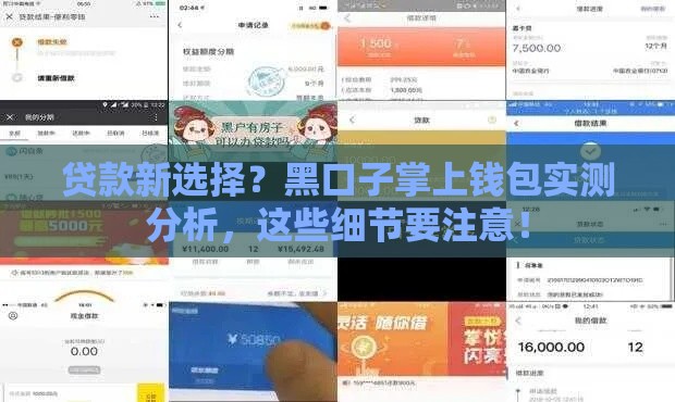 贷款新选择？黑口子掌上钱包实测分析，这些细节要注意！