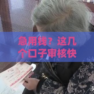 急用钱？这几个口子审核快、到账稳！