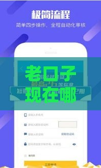 老口子现在哪个下款快？实测这5个平台靠谱又省心