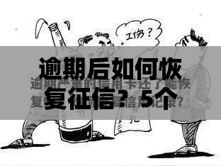 逾期后如何恢复征信？5个实用技巧助你重建信用