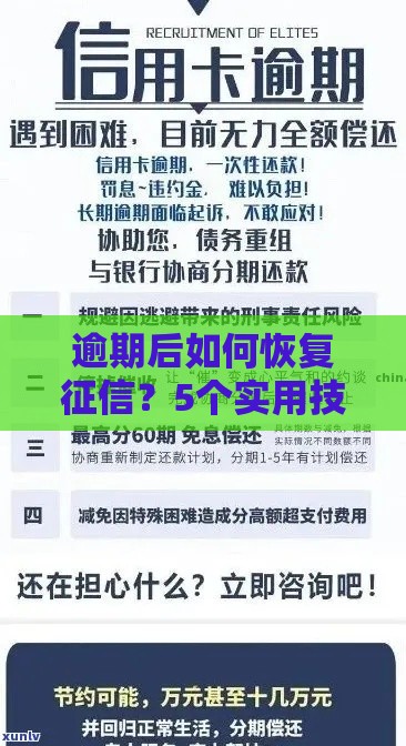 逾期后如何恢复征信？5个实用技巧助你重建信用
