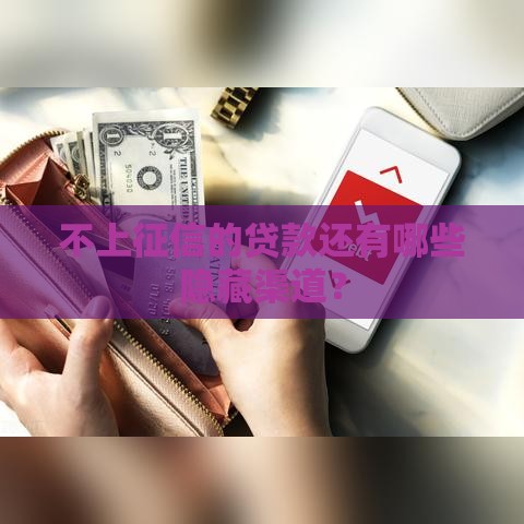 不上征信的贷款还有哪些隐藏渠道？