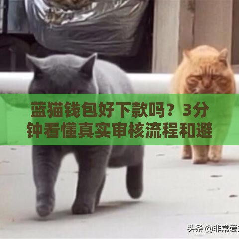蓝猫钱包好下款吗？3分钟看懂真实审核流程和避坑技巧