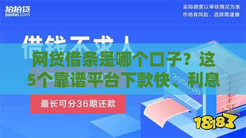 网贷借条是哪个口子？这5个靠谱平台下款快、利息低！