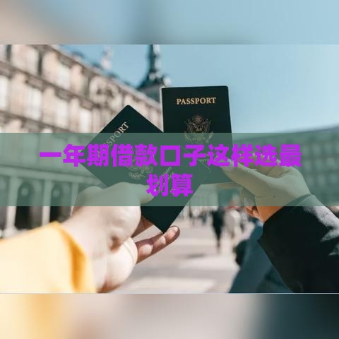 一年期借款口子这样选最划算