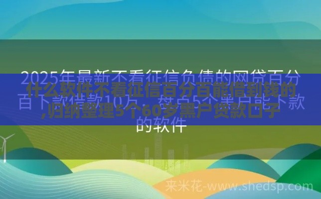 什么软件不看征信百分百能借到钱的,归纳整理5个60岁黑户贷款口子