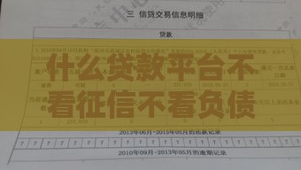 什么贷款平台不看征信不看负债,值得收藏的5个惠州黑户41个口子