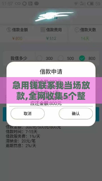 急用钱联系我当场放款,全网收集5个整改后黑户下款口子