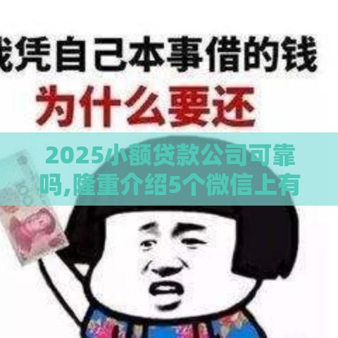 2025小额贷款公司可靠吗,隆重介绍5个微信上有黑户口子