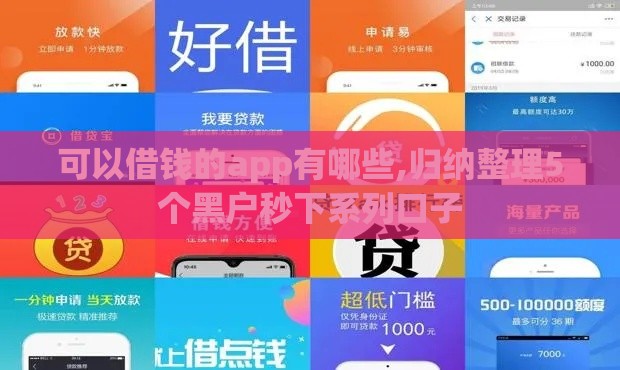 可以借钱的app有哪些,归纳整理5个黑户秒下系列口子