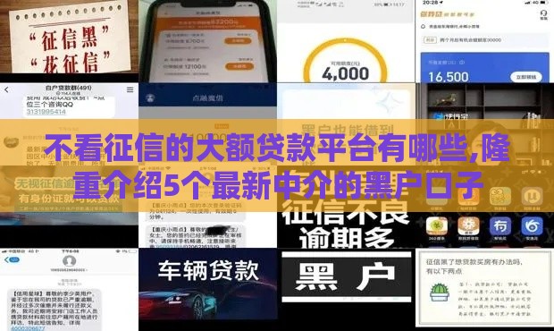 不看征信的大额贷款平台有哪些,隆重介绍5个最新中介的黑户口子