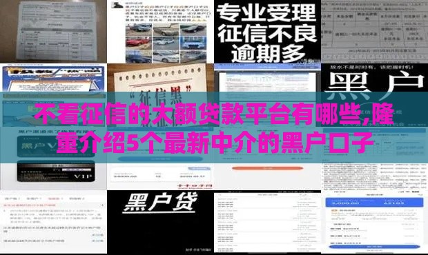 不看征信的大额贷款平台有哪些,隆重介绍5个最新中介的黑户口子