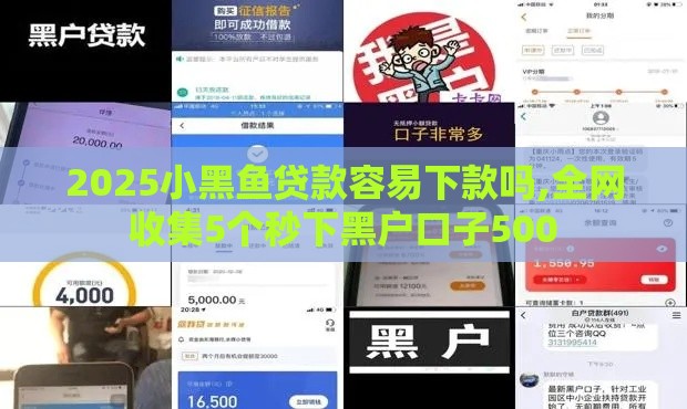 2025小黑鱼贷款容易下款吗,全网收集5个秒下黑户口子500