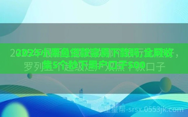 2025小黑鱼贷款容易下款吗,全网收集5个秒下黑户口子500
